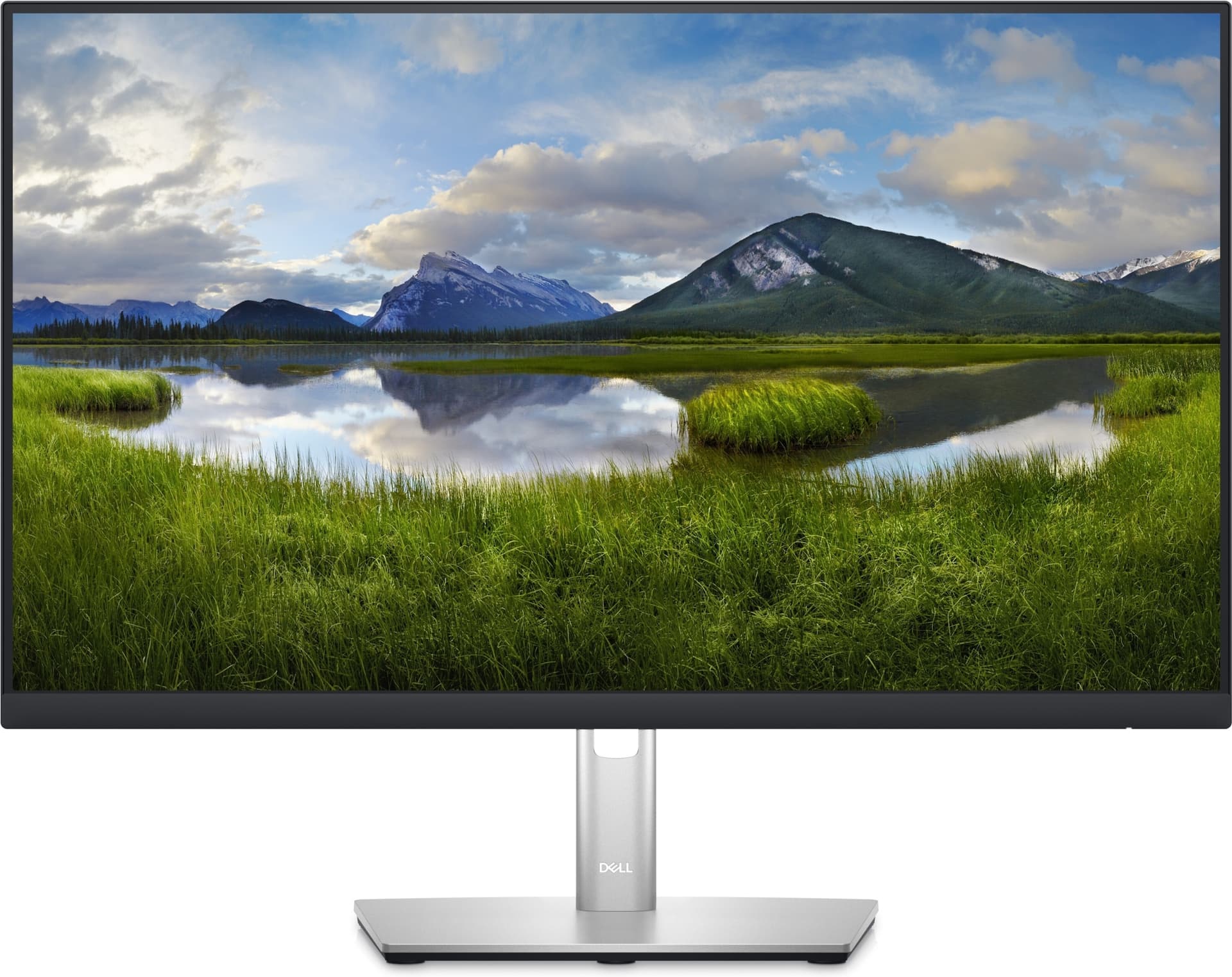 Dell P2423D