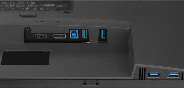 Dell P2423D