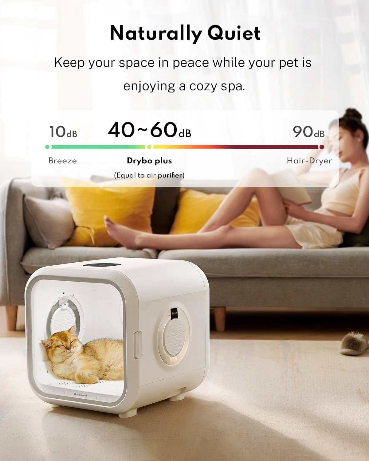 HomeRunPet Drybo Plus pet dryer PD50