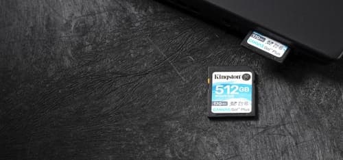 Kingston Canvas Go! Plus