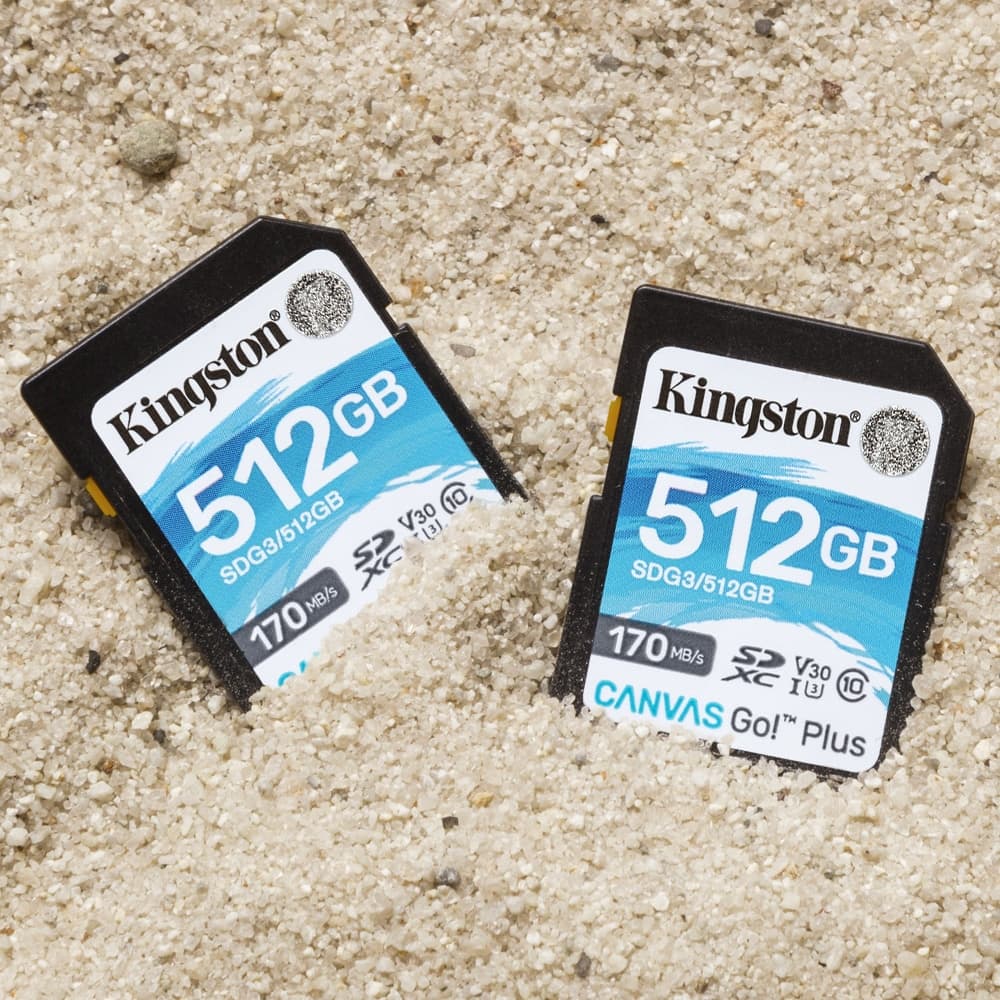 Kingston Canvas Go! Plus