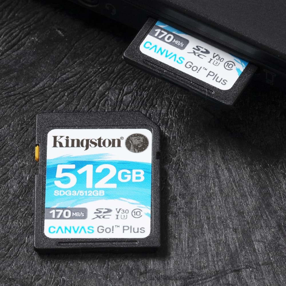 Kingston Canvas Go! Plus