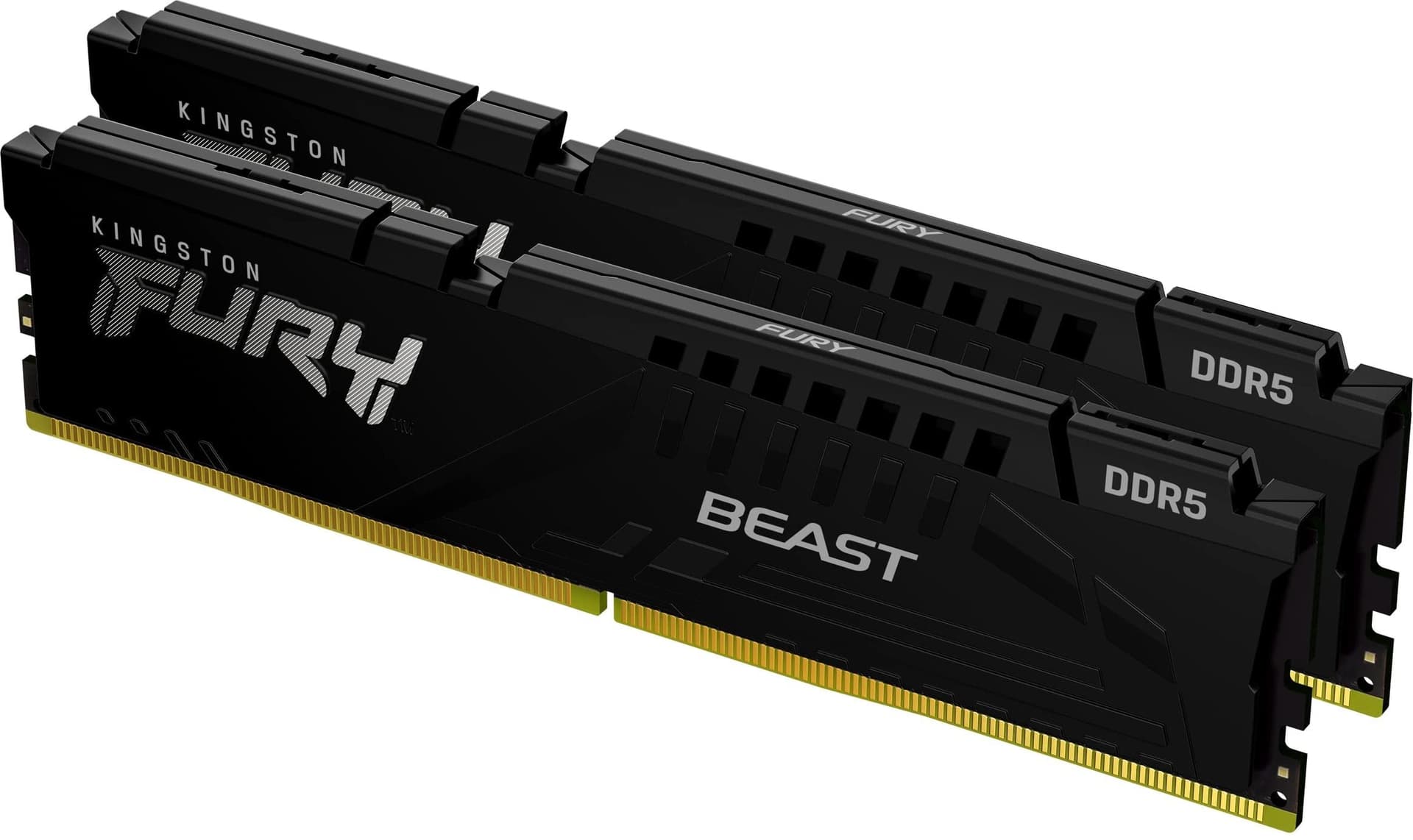 Kingston Fury Beast