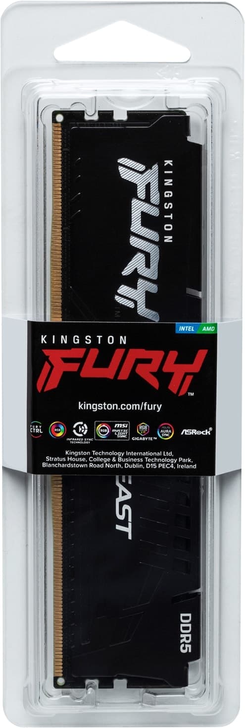 Kingston Fury Beast