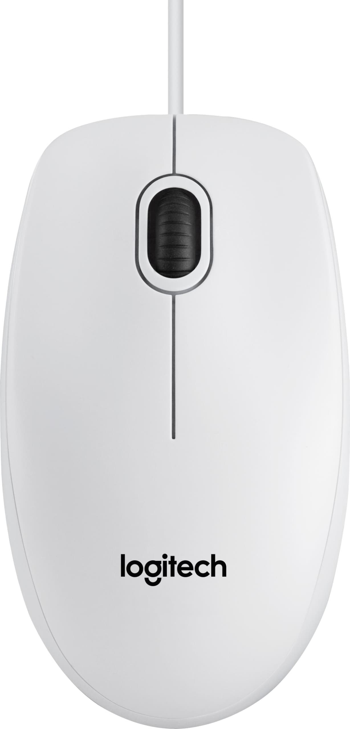 Logitech B100