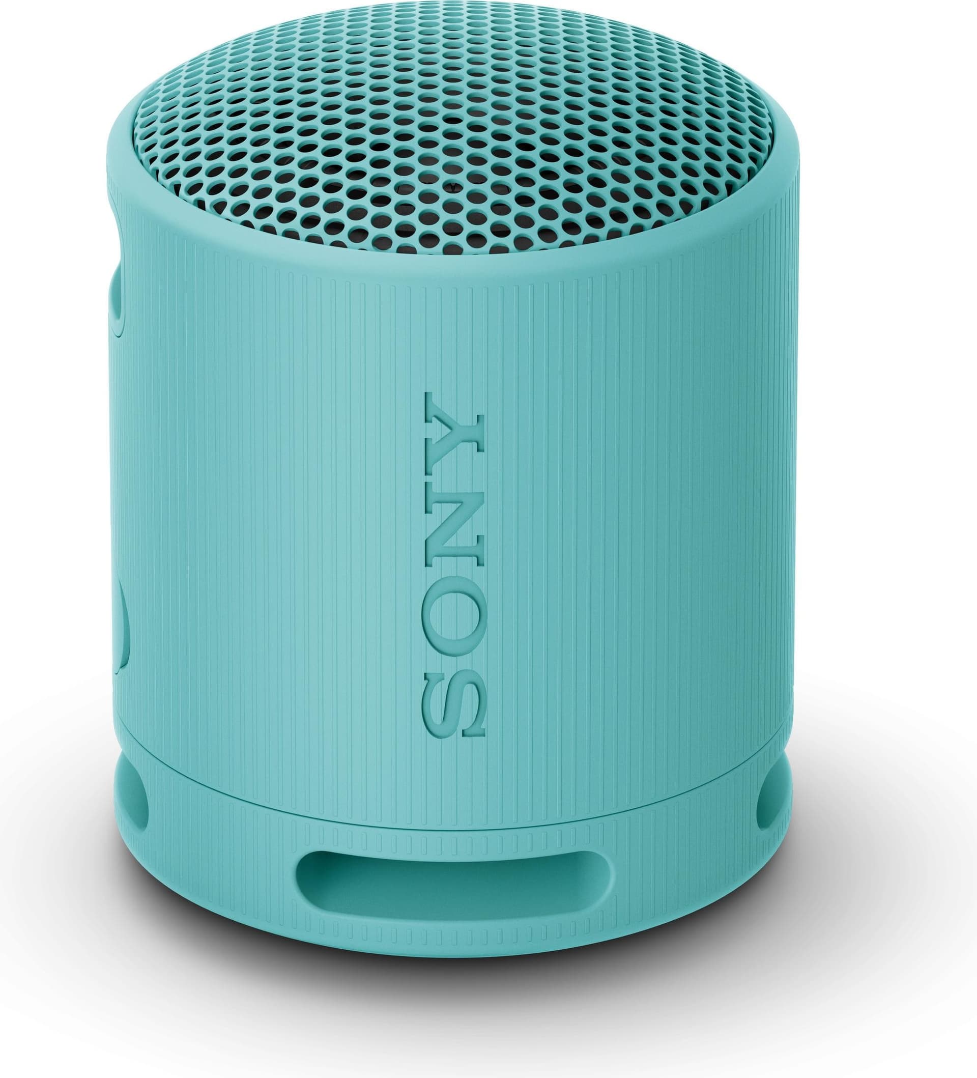 Sony SRS-XB100