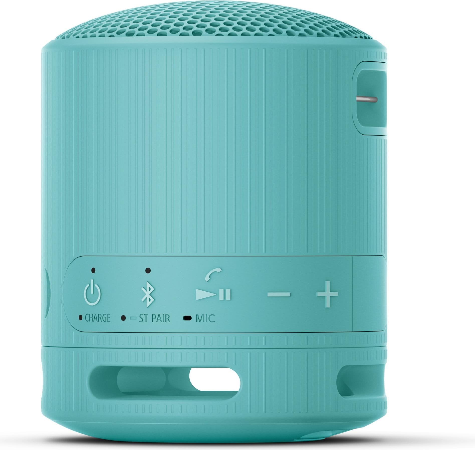 Sony SRS-XB100