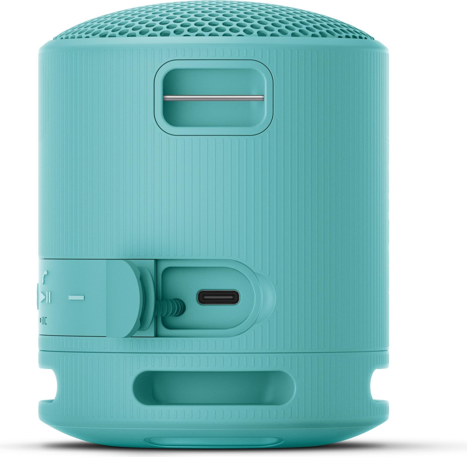 Sony SRS-XB100