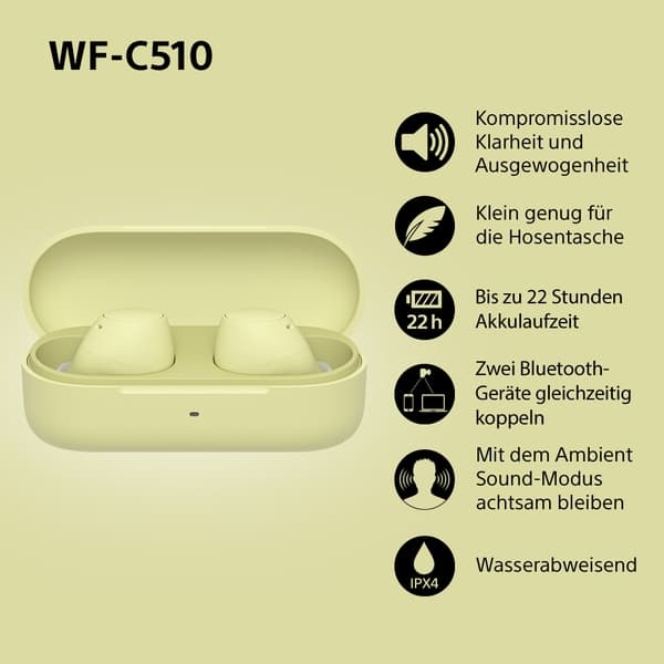 Sony WF-C510