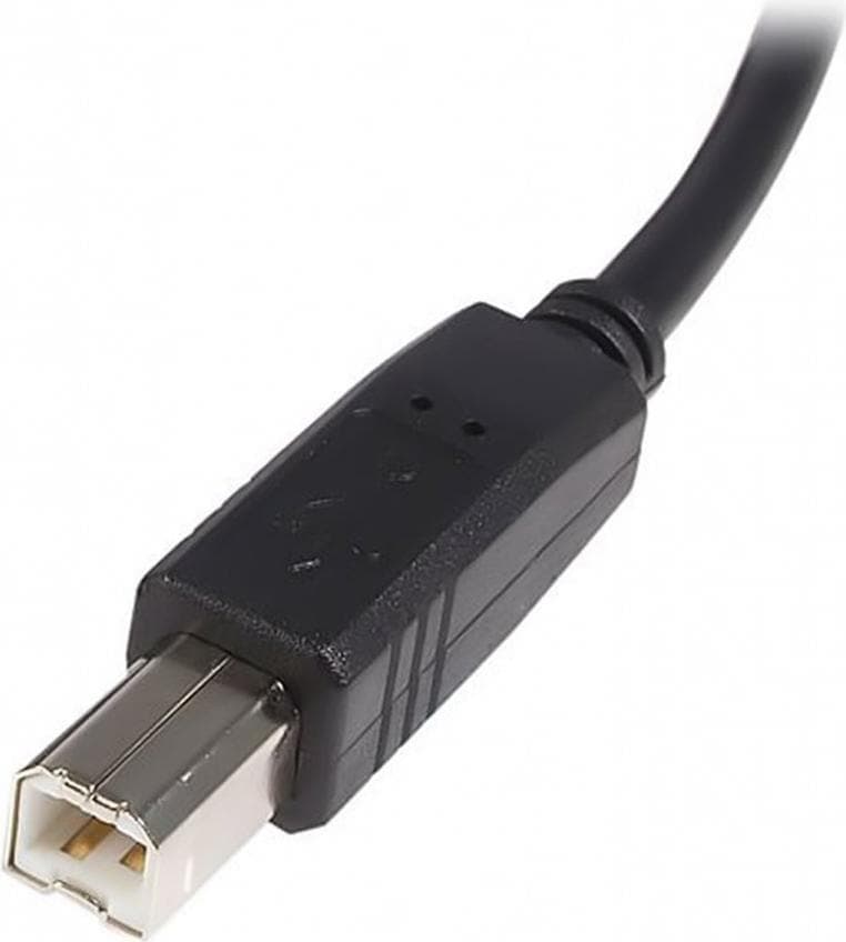 StarTech USB A-Usb B