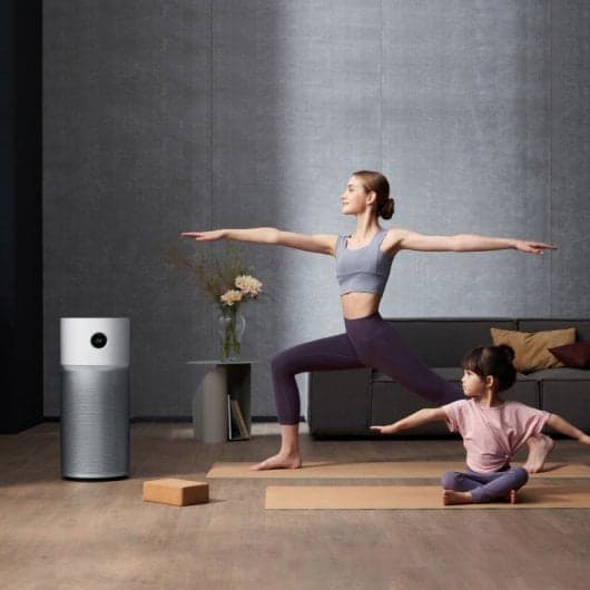Xiaomi Smart Air Purifier Elite Purificador de Ar