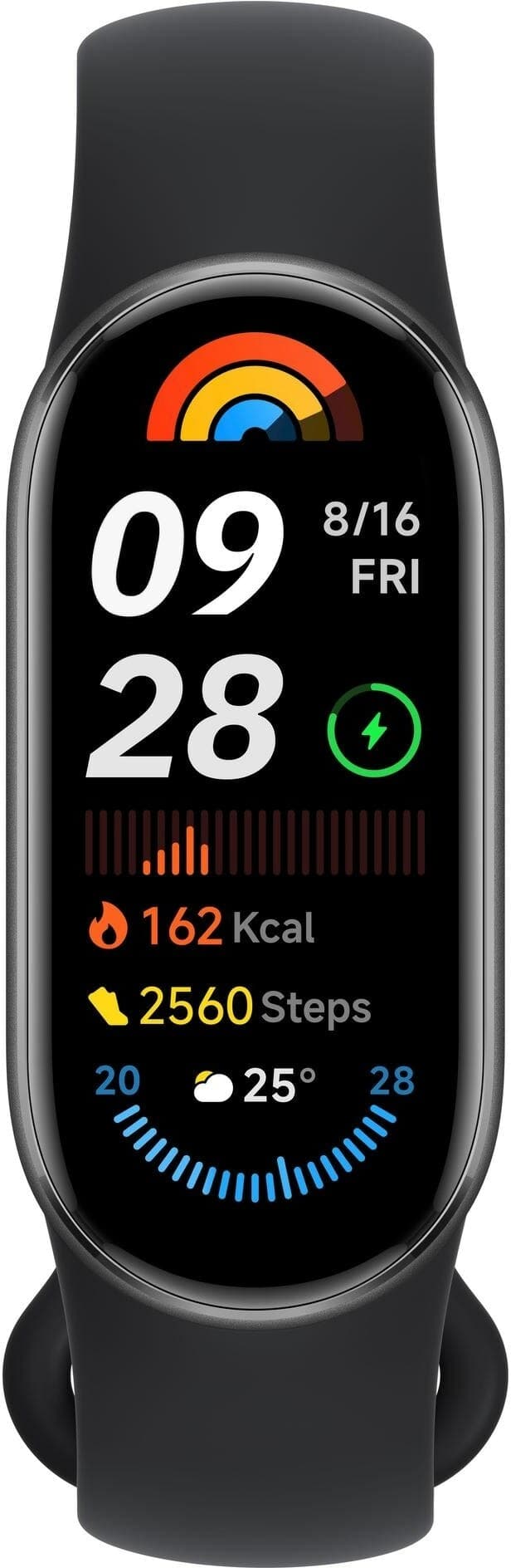 Xiaomi Smart Band 9