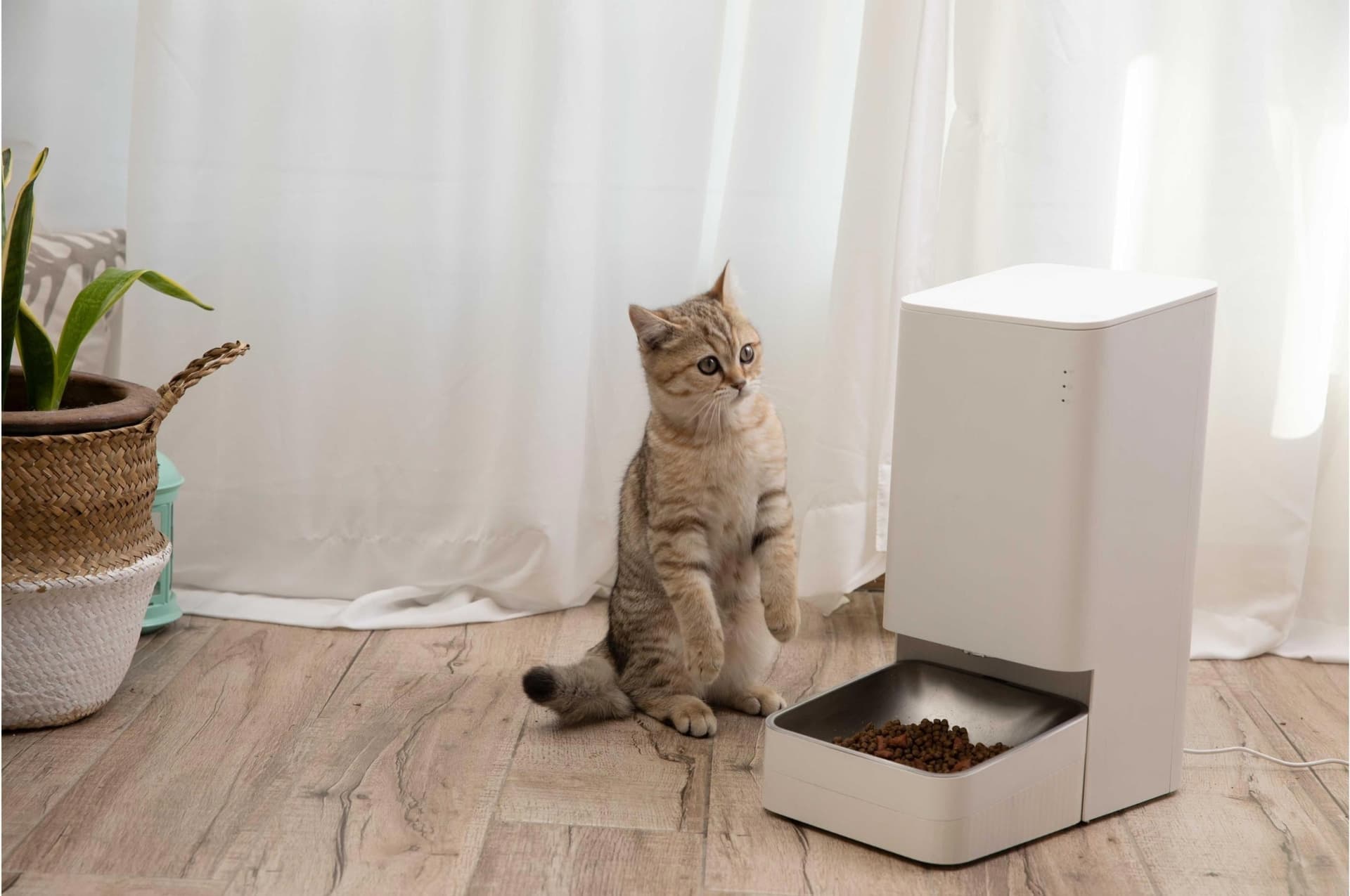 Xiaomi Smart Pet Food Feeder