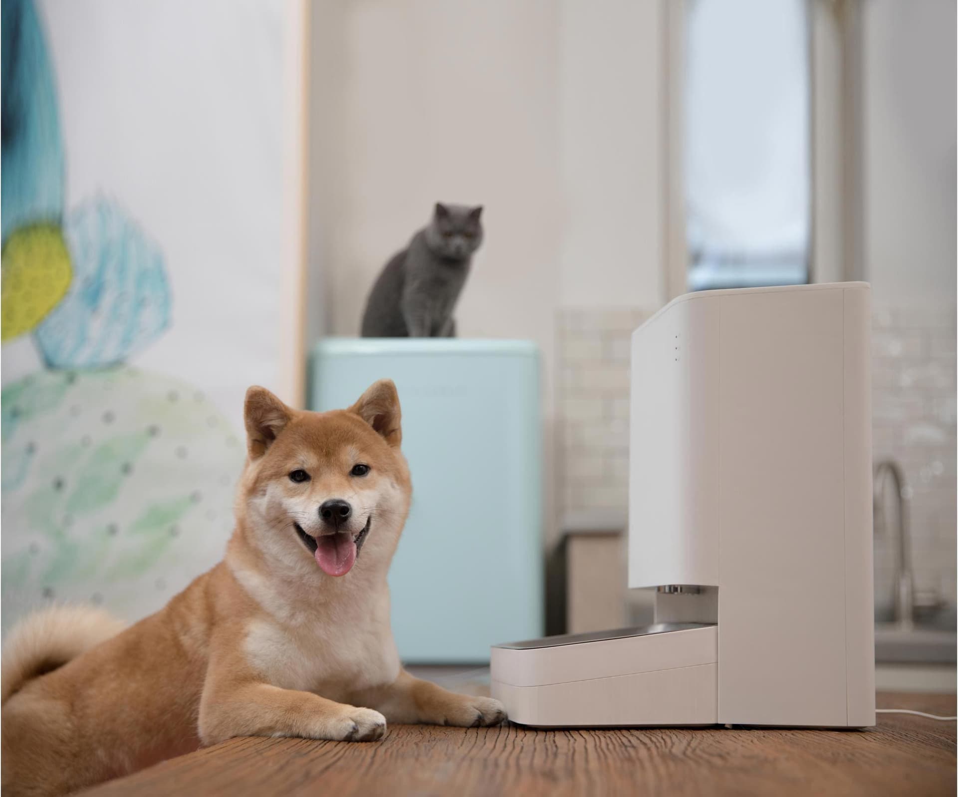 Xiaomi Smart Pet Food Feeder