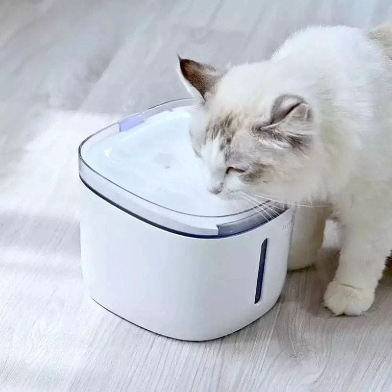 Bebedouro Petoneer Fresco Mini Plus Smart Pet Fountain