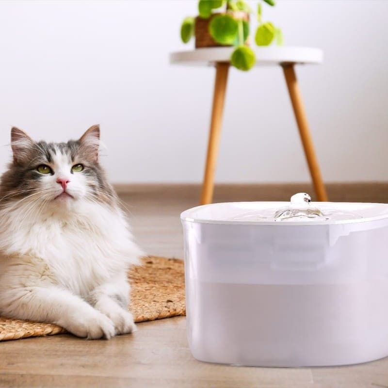 Beberouro Petoneer Fresco Ezgo Smart Pet Fountain