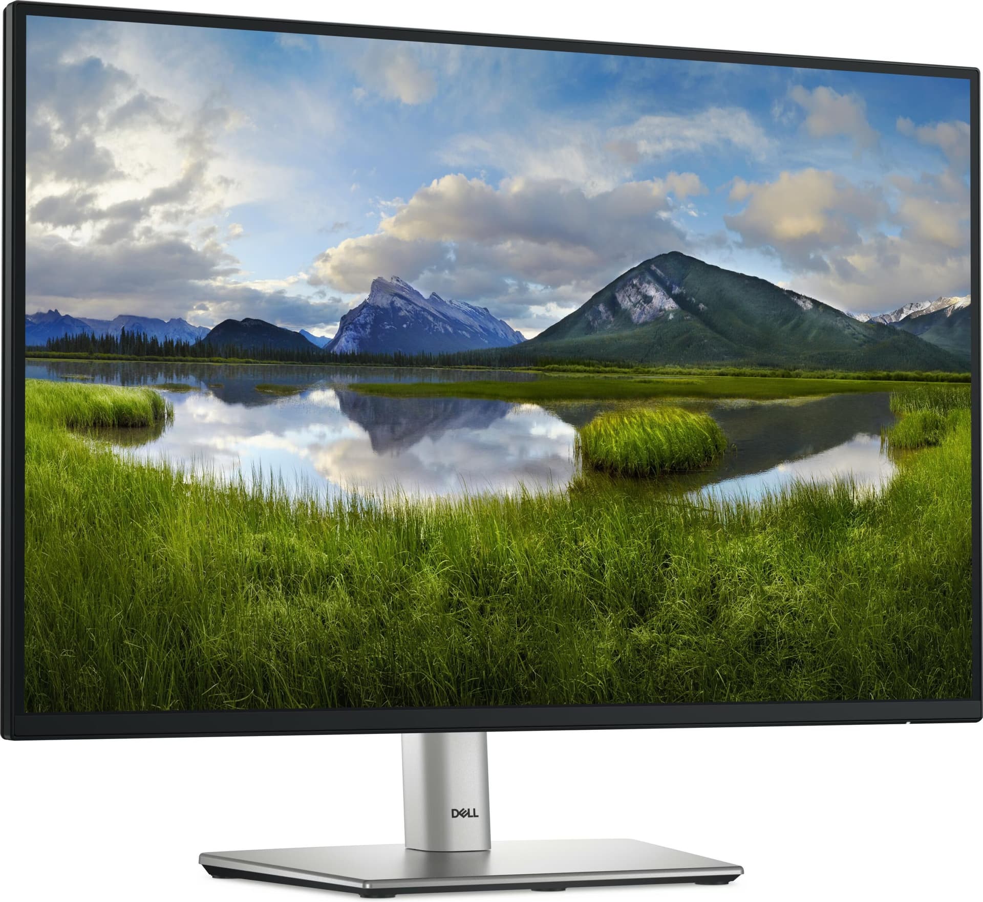 DELL P Series P2425E 24.1 WUXGA IPS USB-C Preto