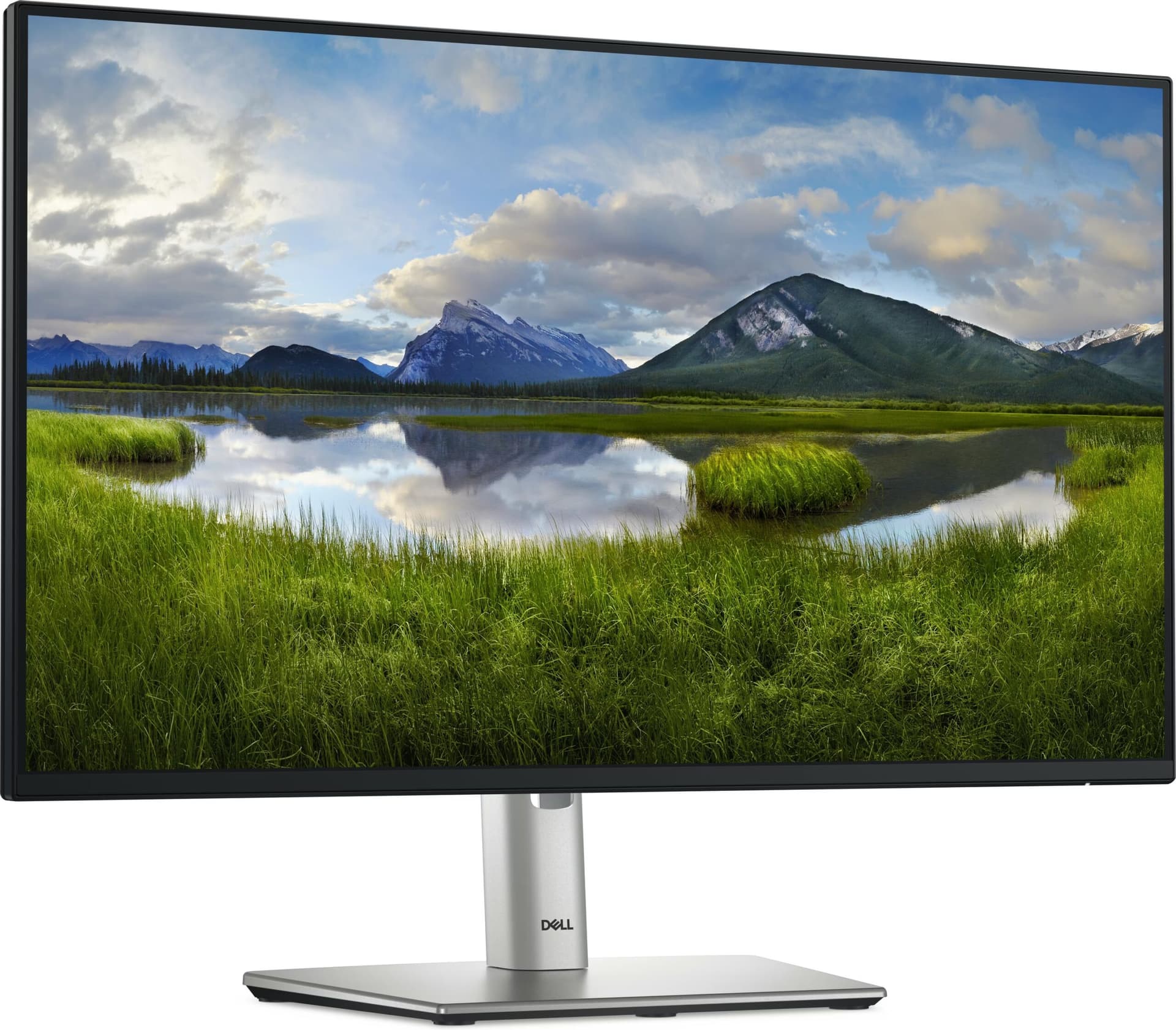 Dell P Series P2425HE 24 FullHD IPS 100Hz Preto