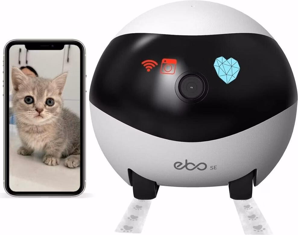 Enabot EBO SE - Robot de companhia