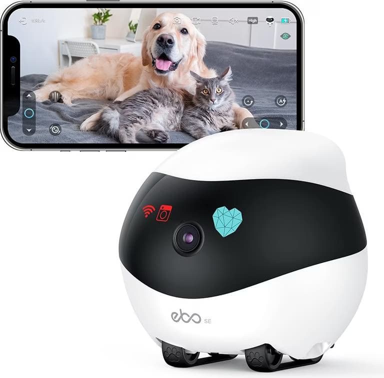 Enabot EBO SE - Robot de companhia