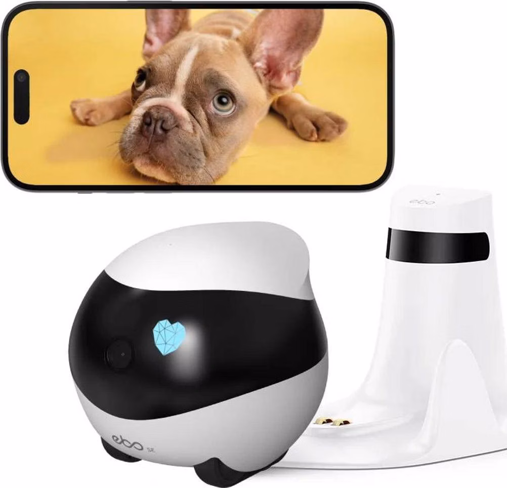 Enabot EBO SE - Robot de companhia