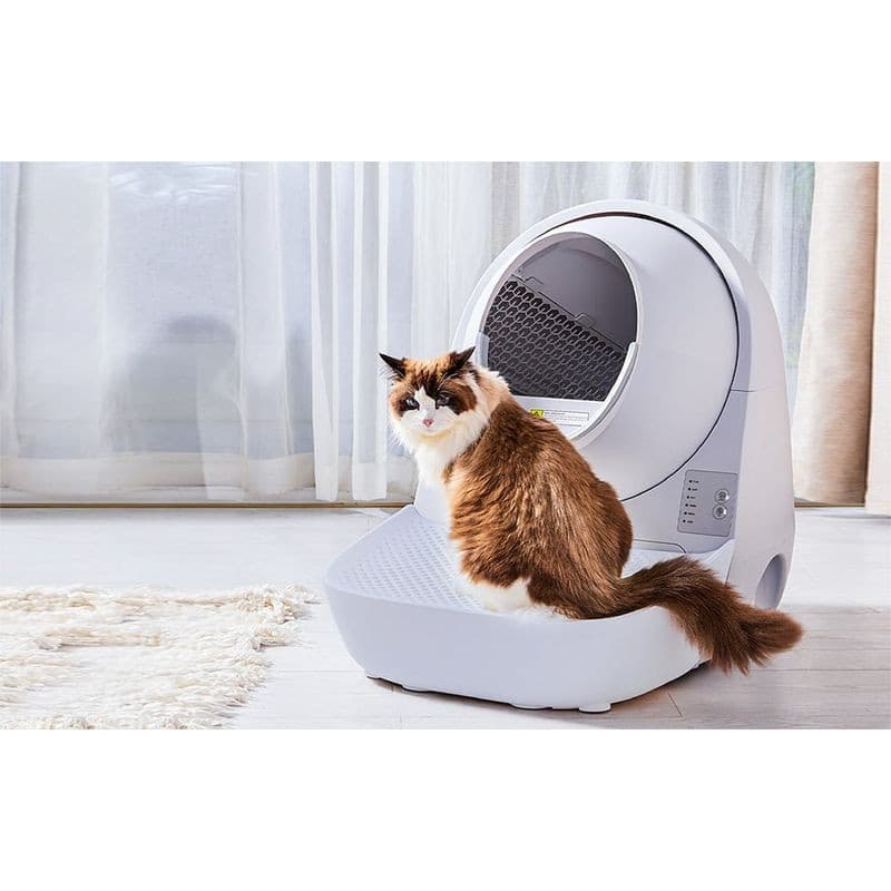 Escada para caixa de areia Catlink Scooper