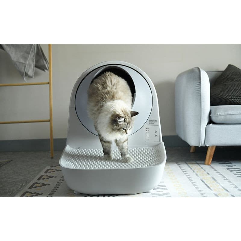 Escada para caixa de areia Catlink Scooper