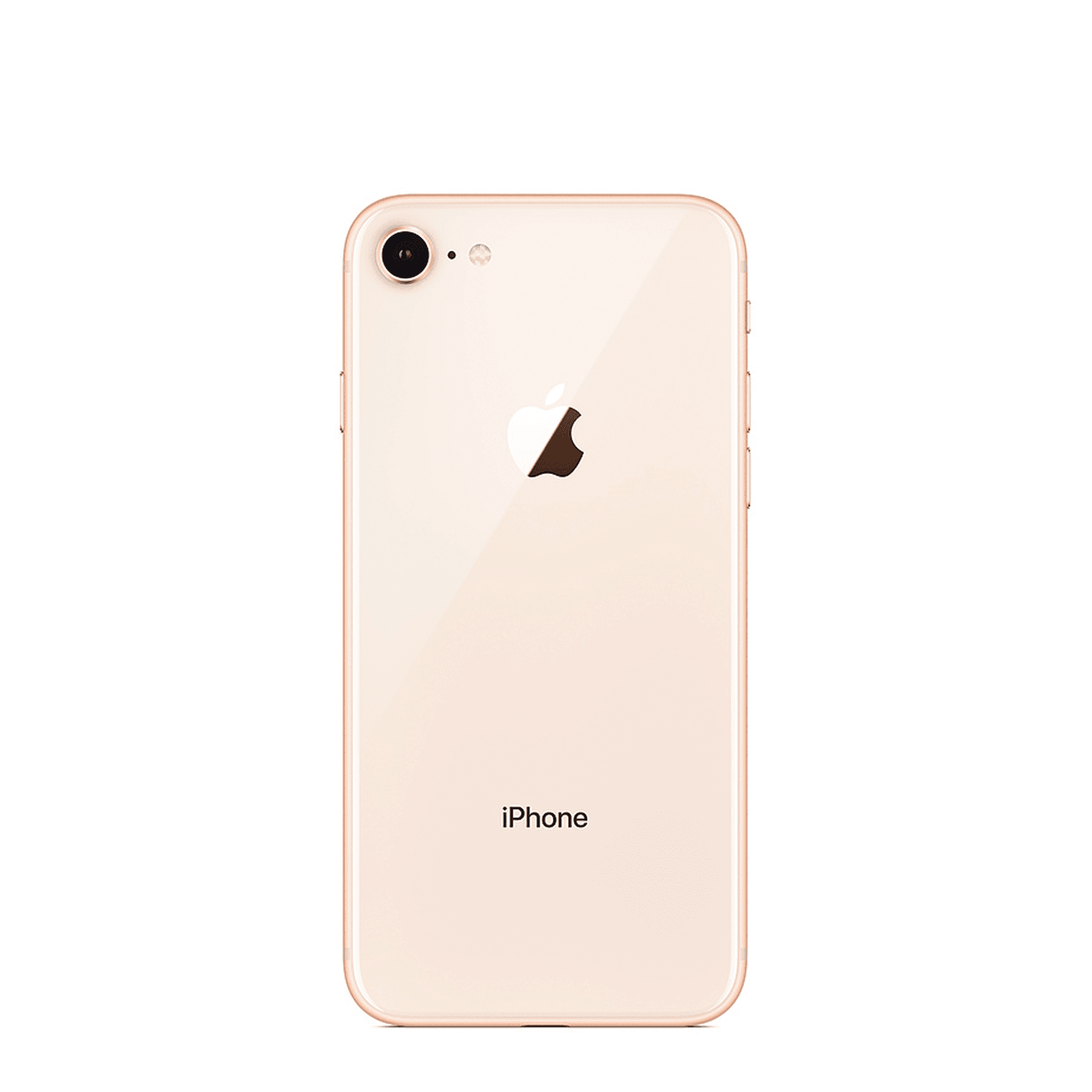 Recondicionado iPhone 8 (Sinais de Uso) 256GB Gold