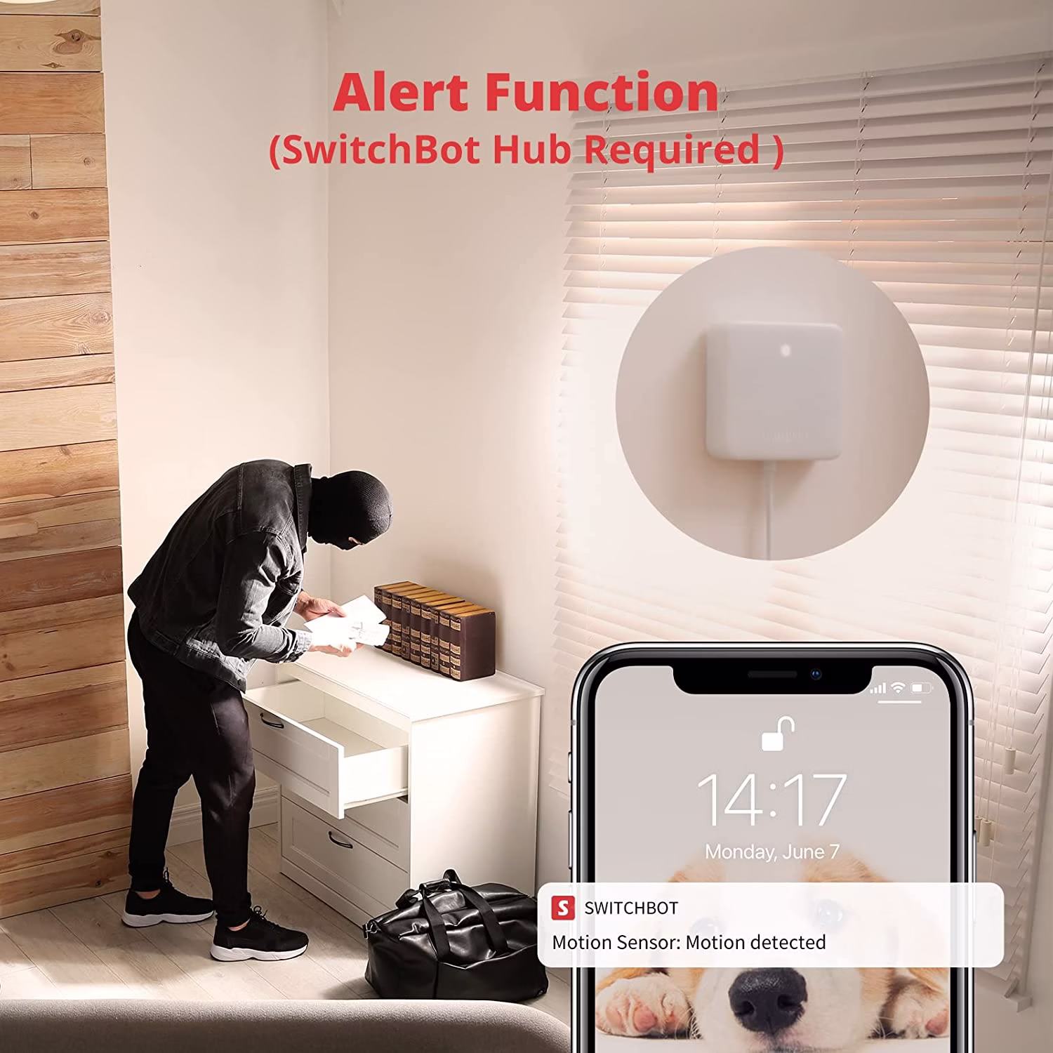 Sensor de Movimento SwitchBot Motion Sensor