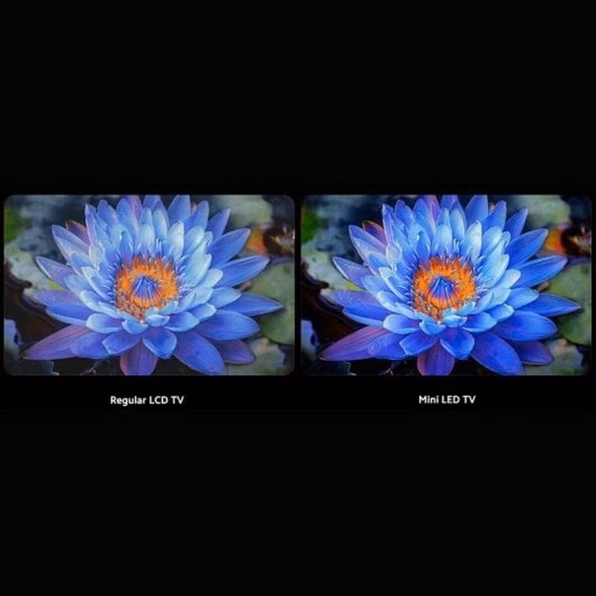 Xiaomi TV S Mini LED 75 (2025) 4K UHD Google TV 144 Hz
