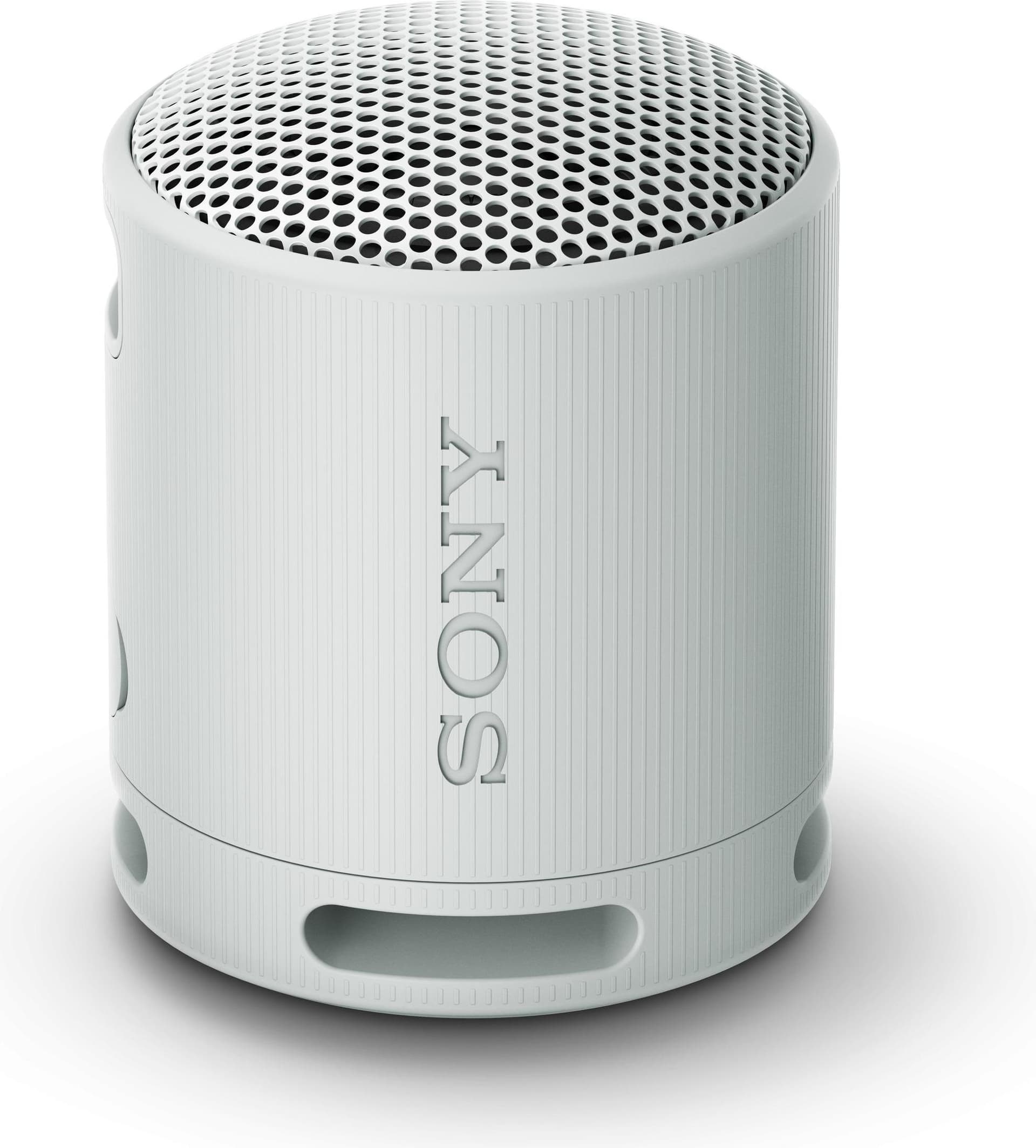Sony SRS-XB100