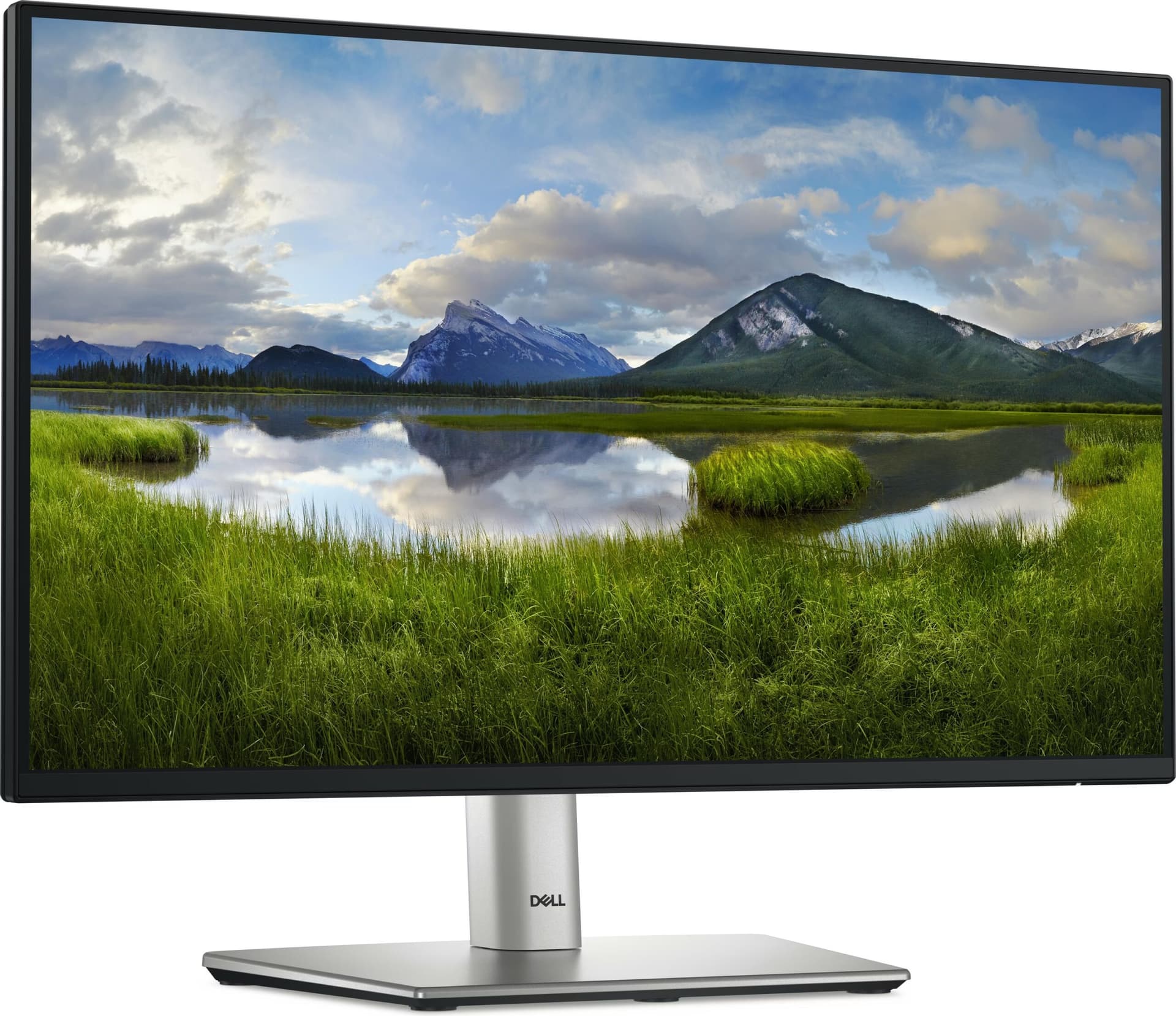 DELL Série P P2225H 21,5 Full HD LCD ComfortView Plus Preto, Prata