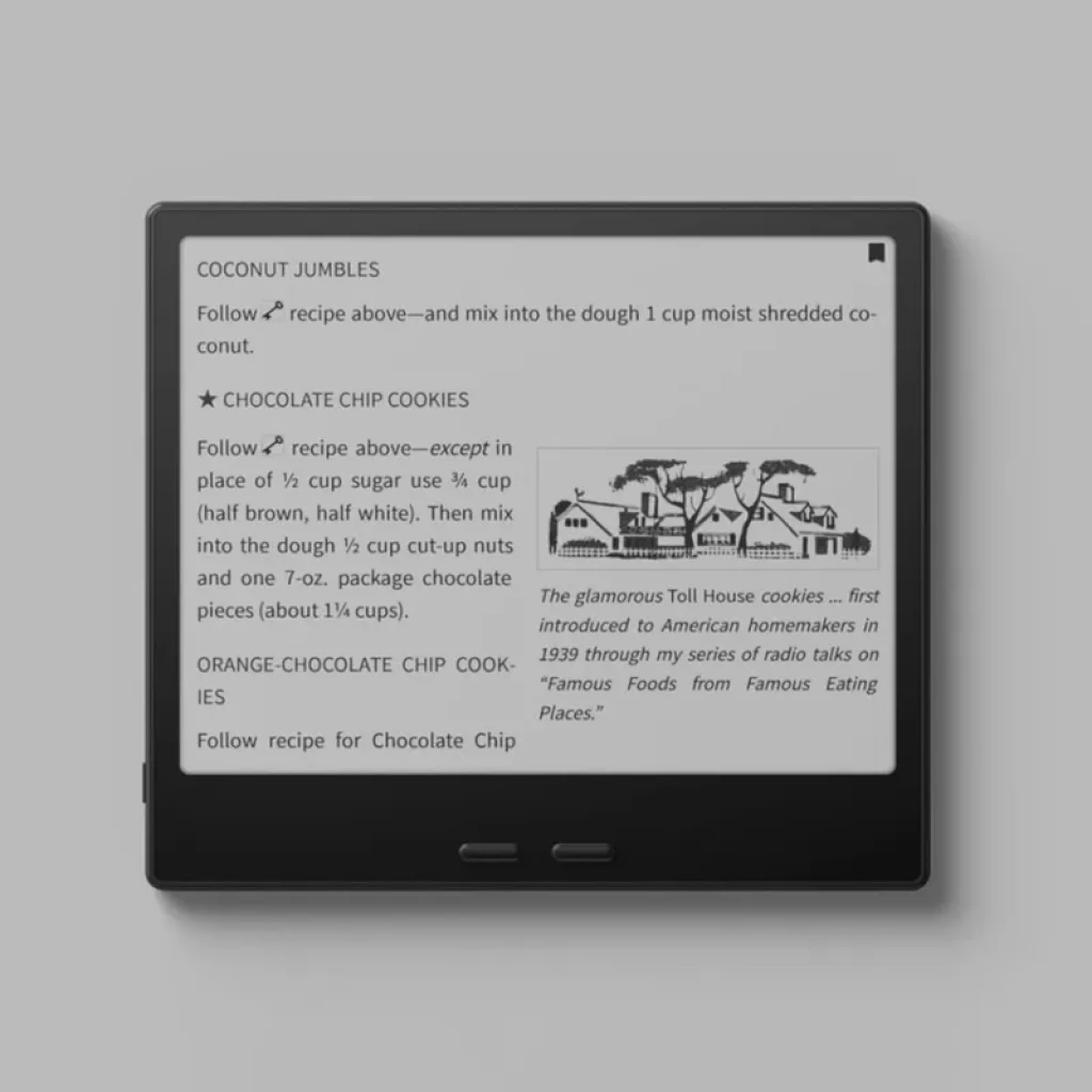 Leitor de livros eletrónicos Onyx BOOX Go 7, 7", 64 GB, E Ink Carta 1300