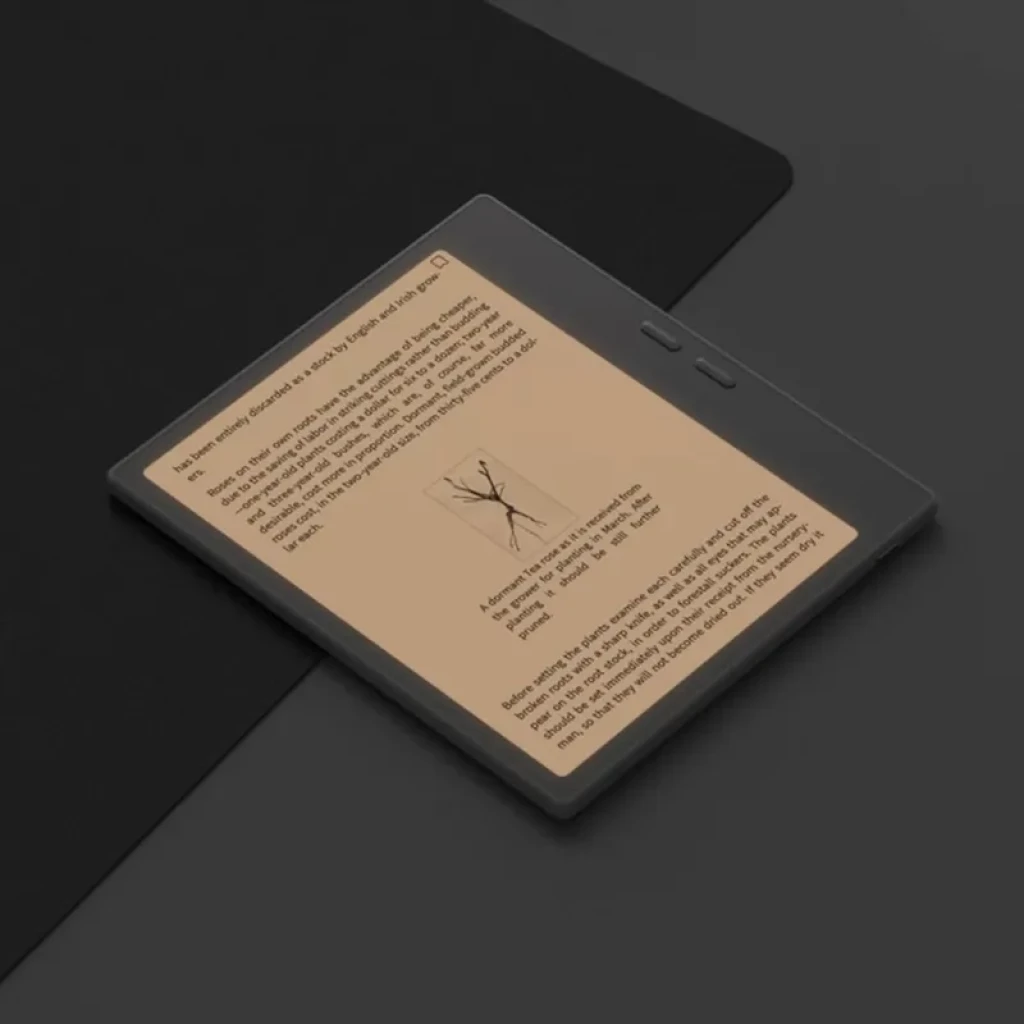 Leitor de livros eletrónicos Onyx BOOX Go 7, 7", 64 GB, E Ink Carta 1300