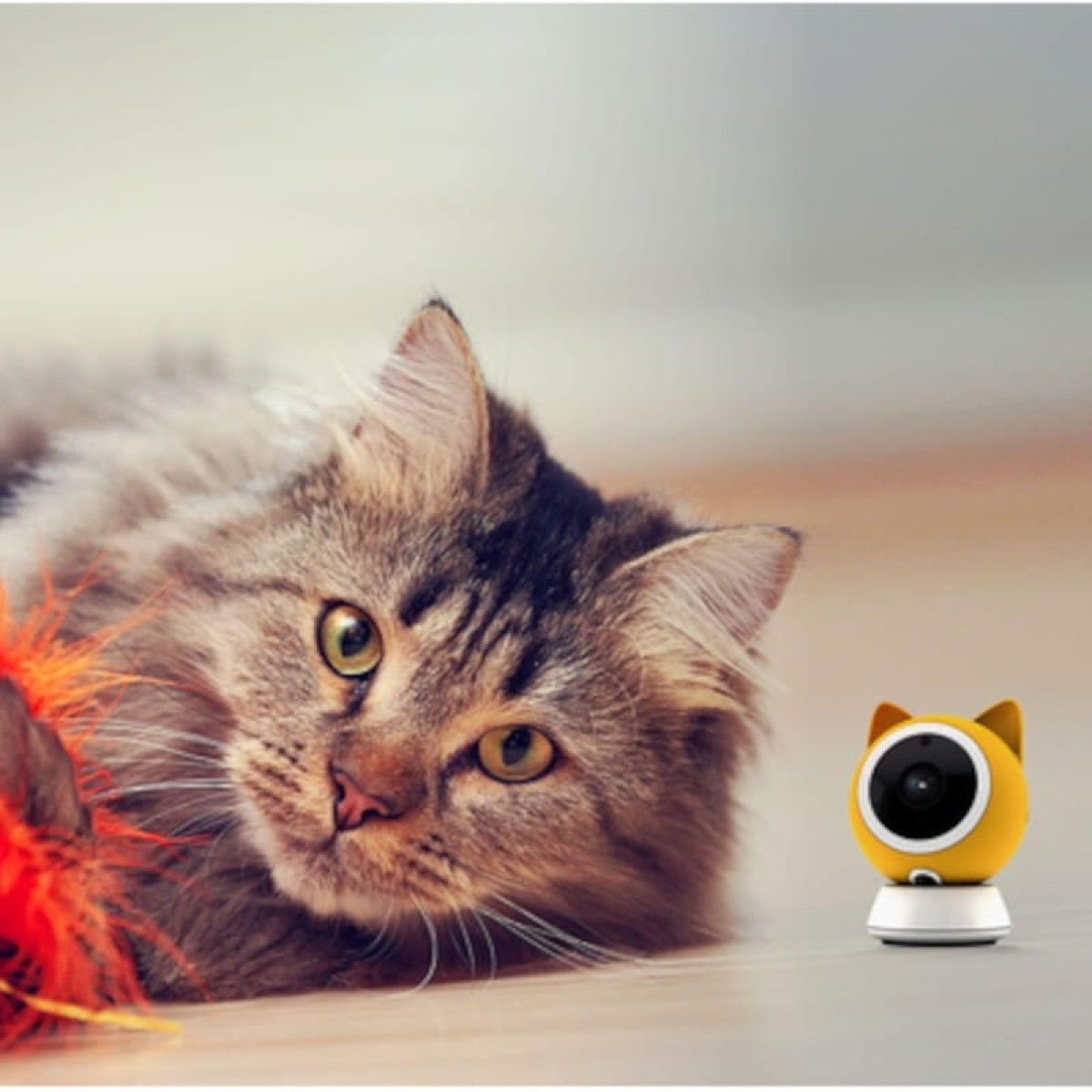 Petoneer Smart Pet Cam 1080p – Câmara de vigilância para animais de estimação