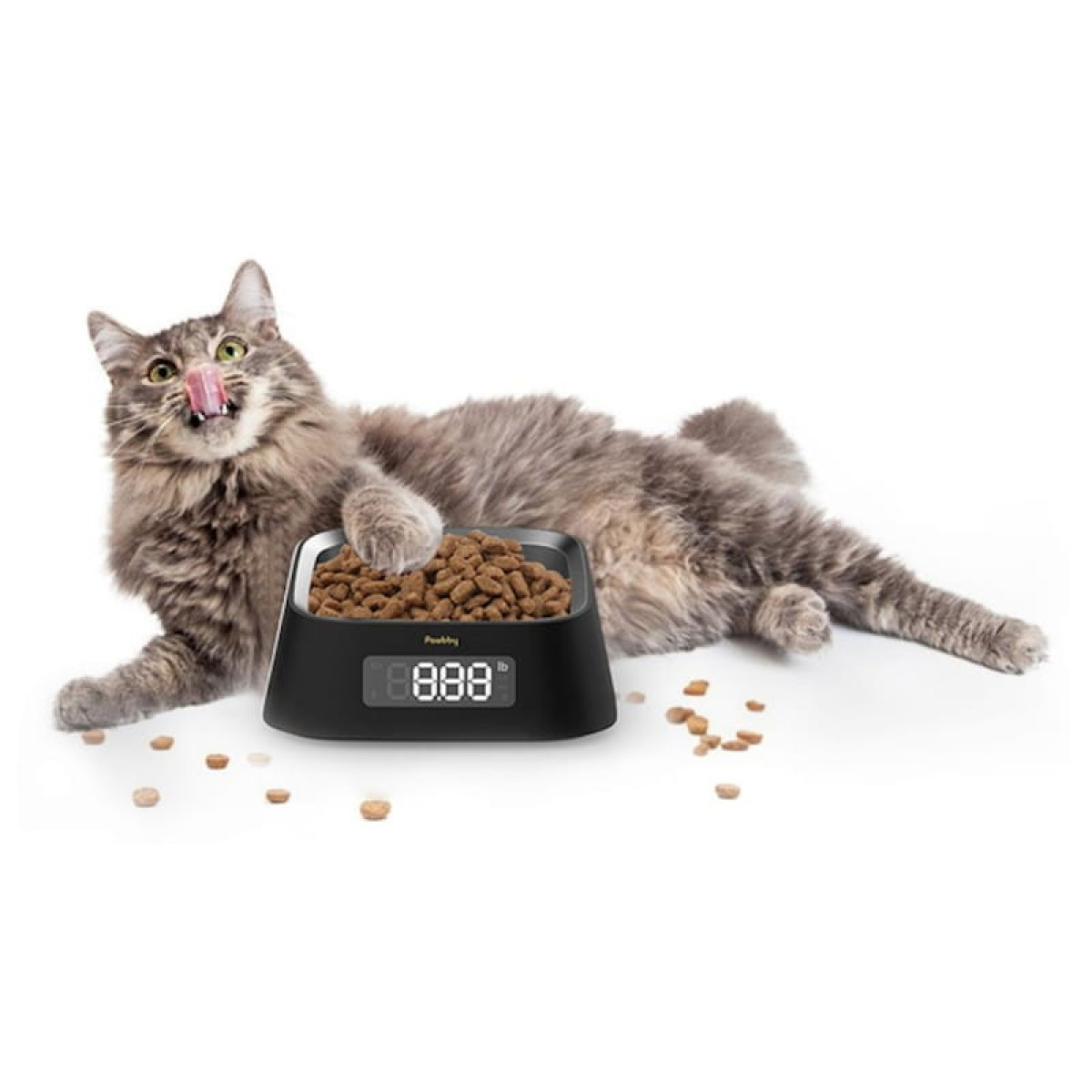 Alimentador para Animais de estimação Xiaomi Pawbby Smart Pet Bowl