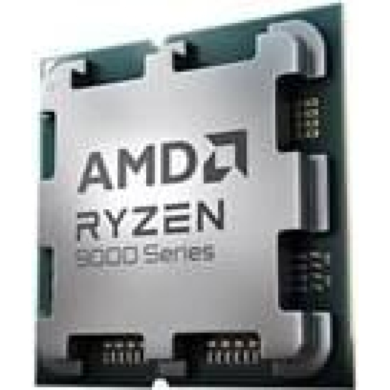 AMD Ryzen 9 9900X