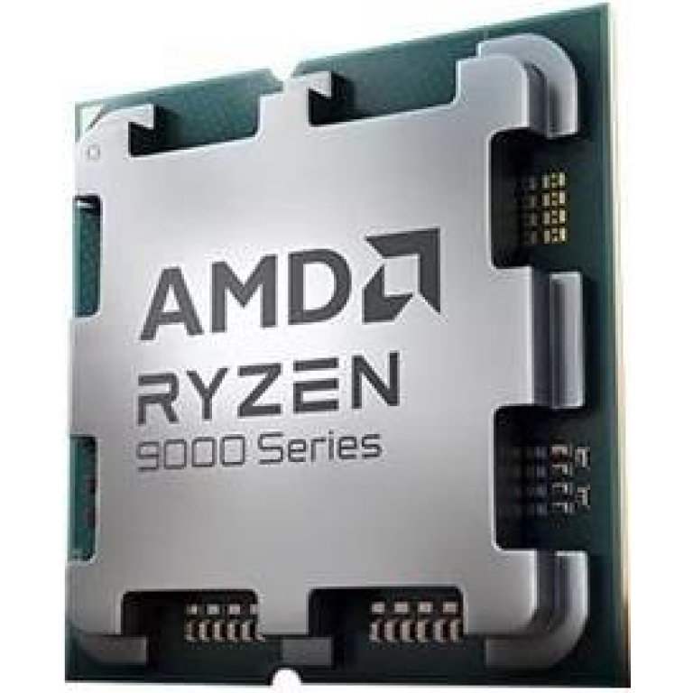 AMD Ryzen 9 9900X