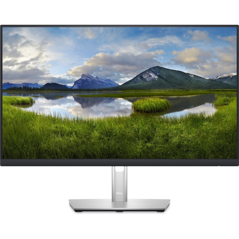 Dell P2423DE