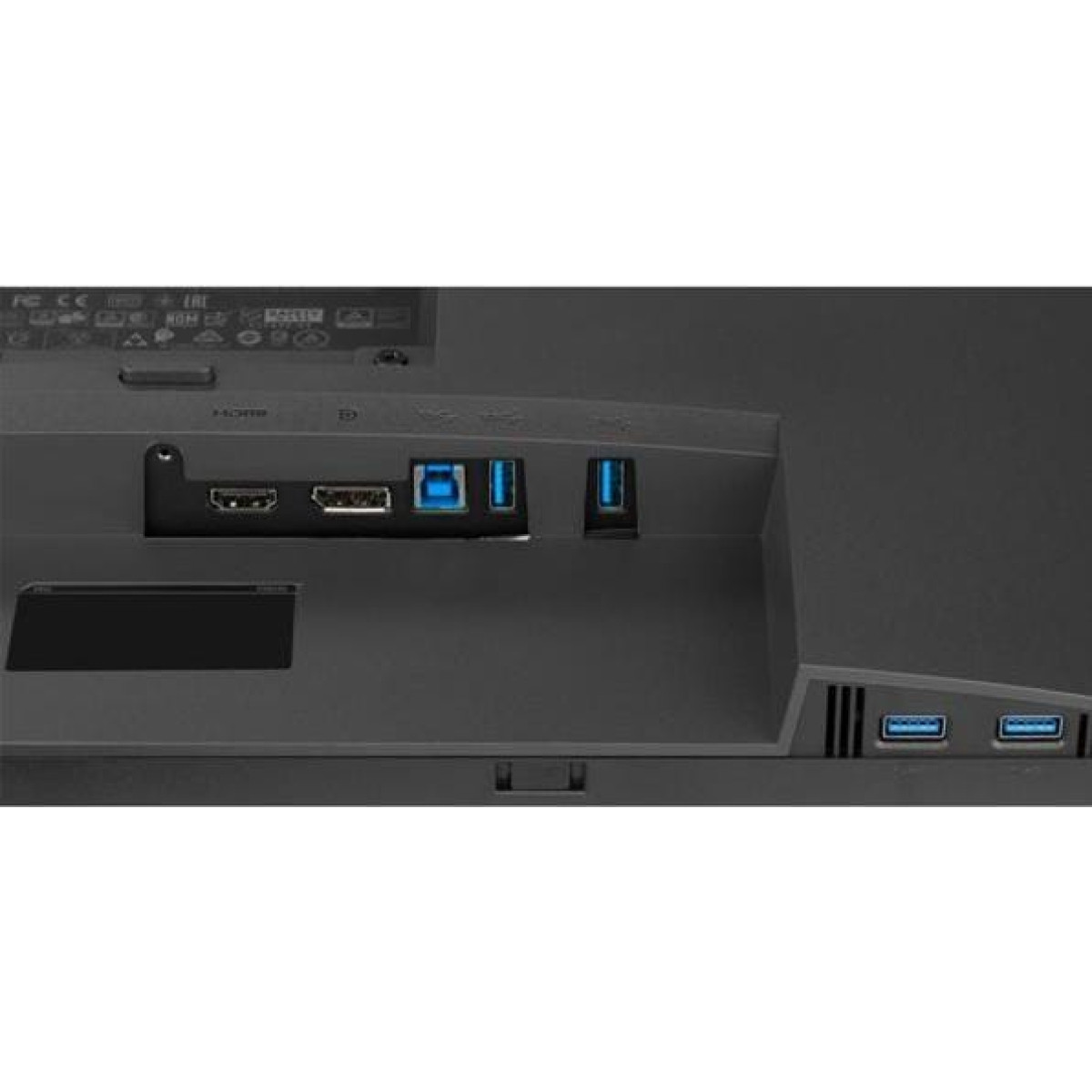 Dell P2423D