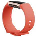 Fitbit Charge 6