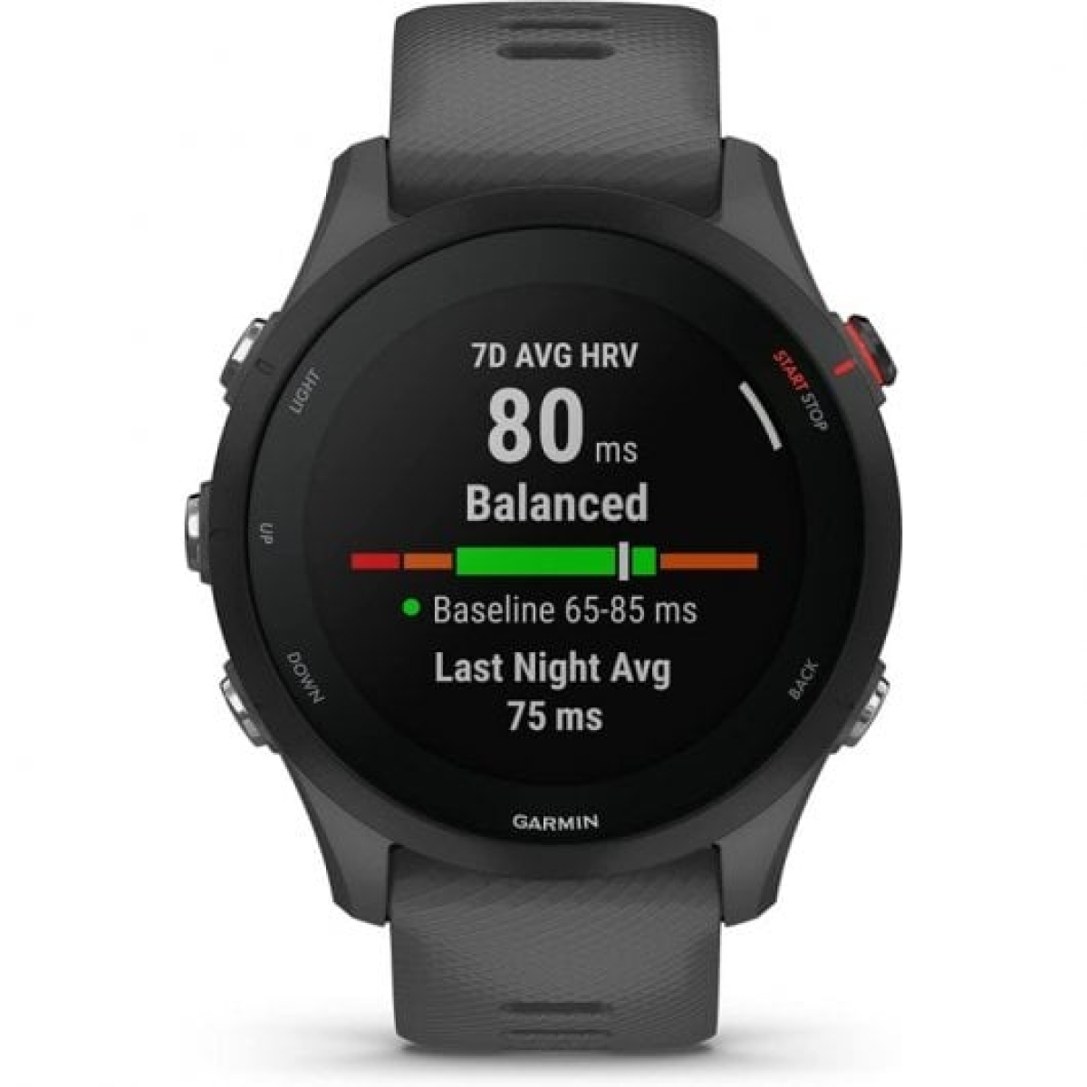Garmin Forerunner 255 Smartwatch 46mm Cinzento Ardósia