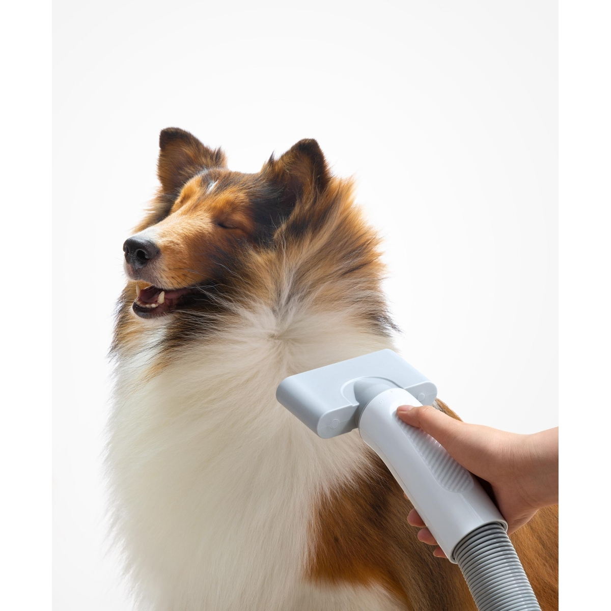 HomeRunPet Pet hairdryer PD10