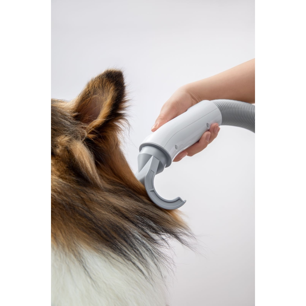 HomeRunPet Pet hairdryer PD10
