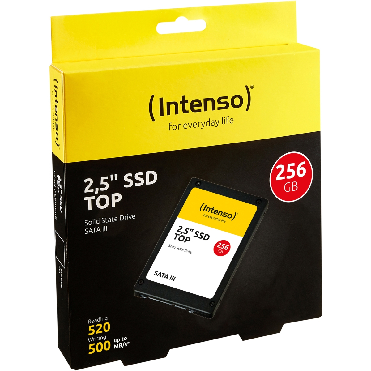 Intenso Top Performance