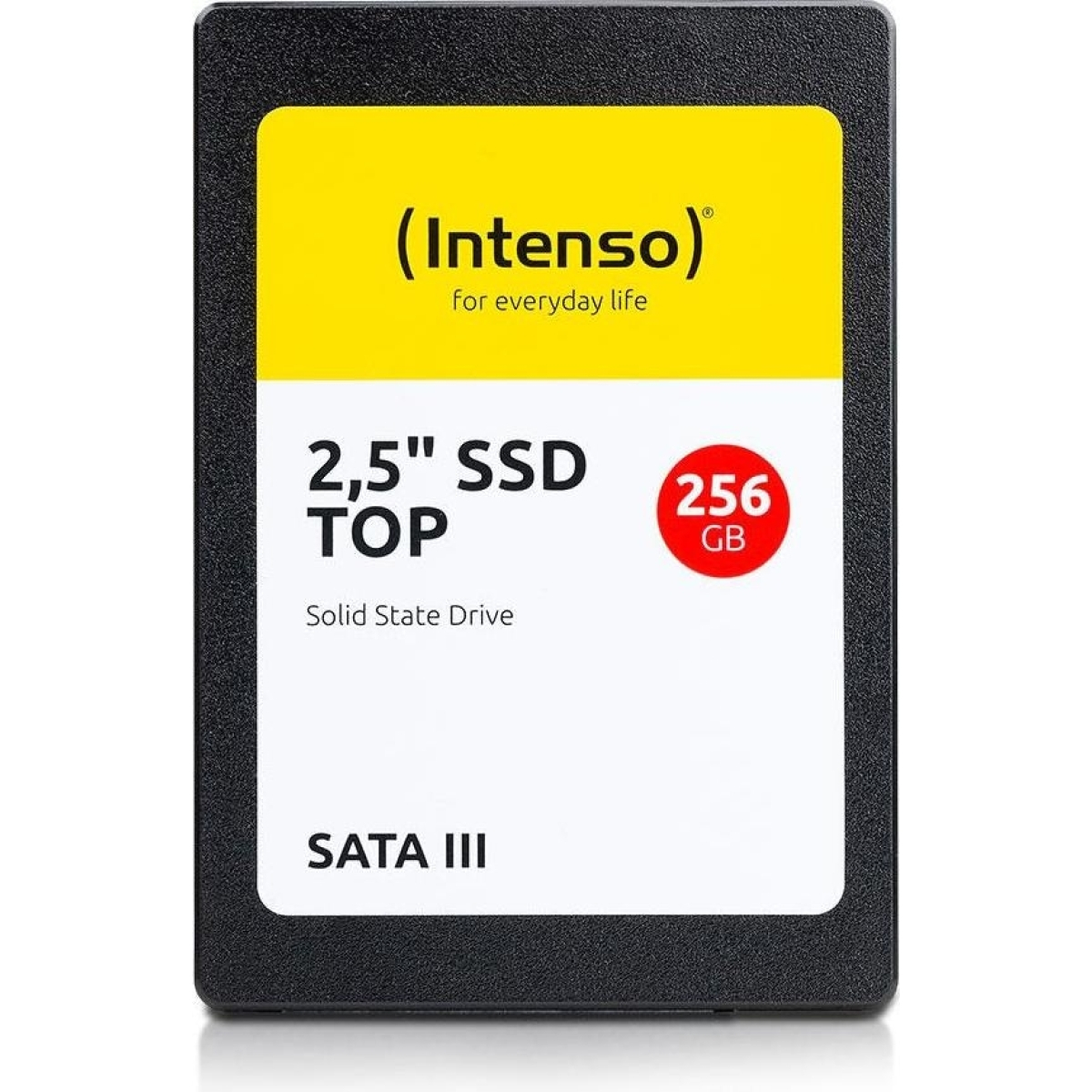Intenso Top Performance
