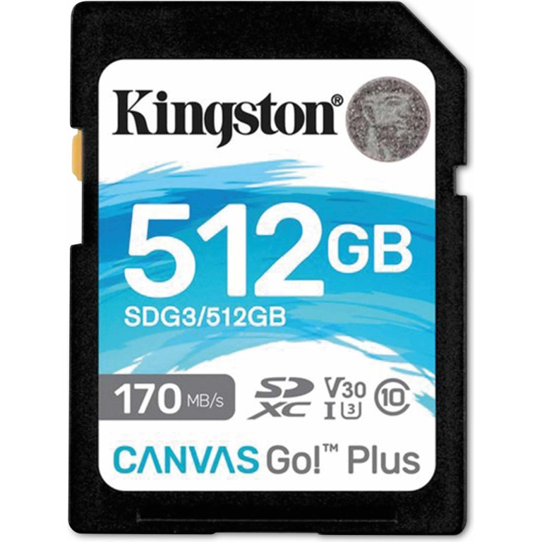 Kingston Canvas Go! Plus