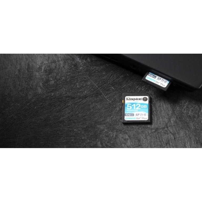 Kingston Canvas Go! Plus