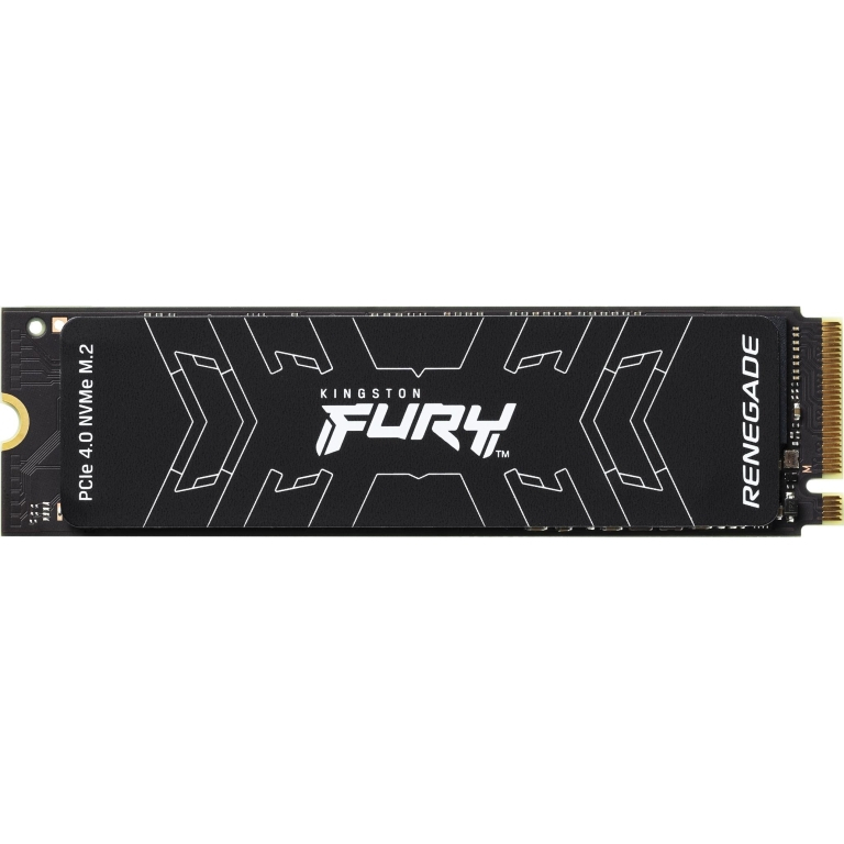 Kingston FURY Renegade