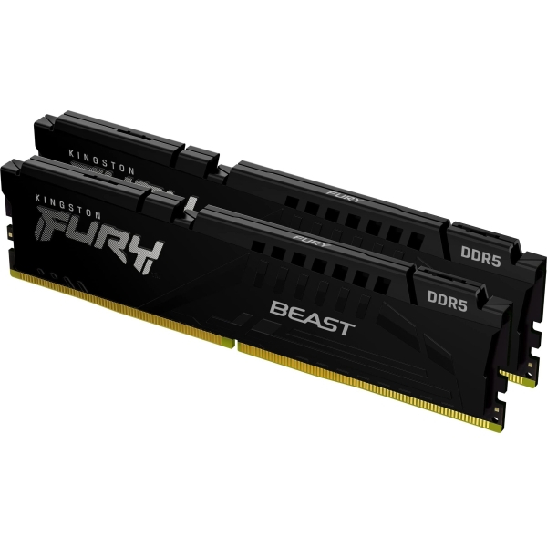 Kingston Fury Beast